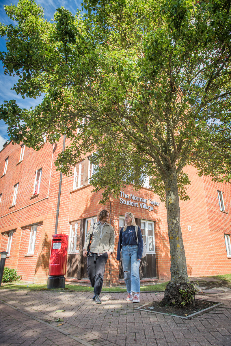 Norman Taylor village in Farnham