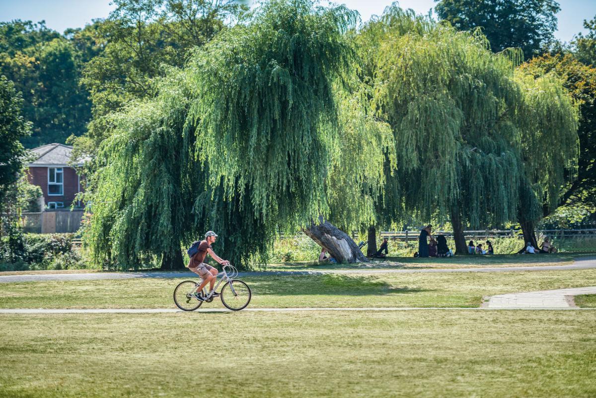 Cyclist in Gostrey Meadows