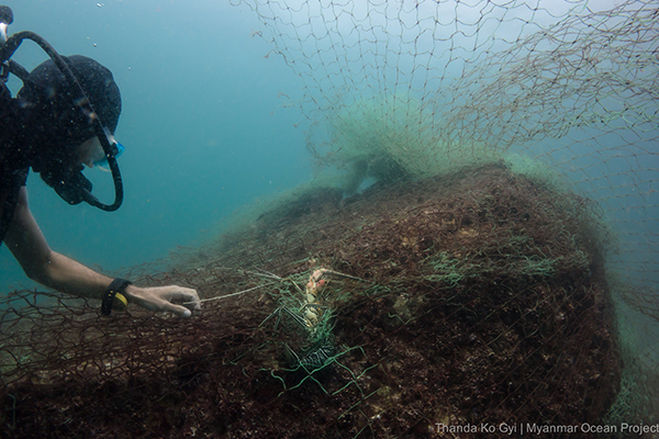 Diver in Myanmar surveying lost net on a reef. Photo © Thanda Ko Gyi