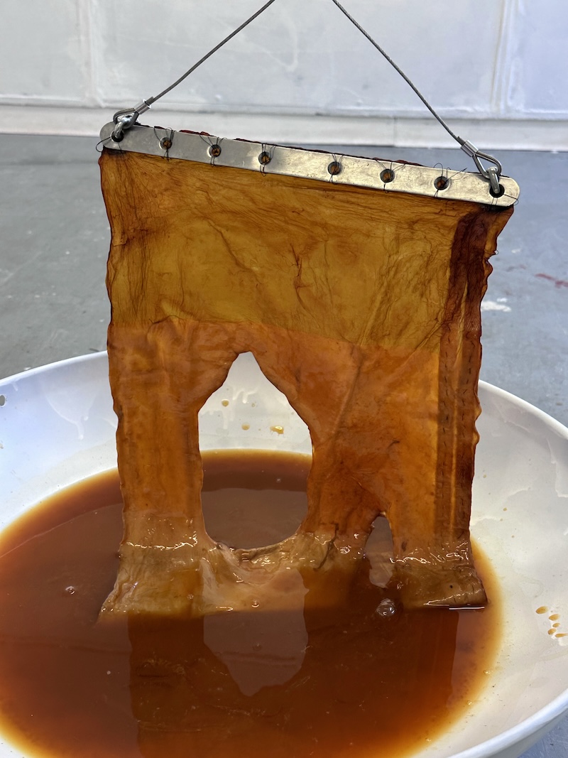 The Doctor Won't See You Now by © Eloise Gleave The Doctor Won't See You Now by © Eloise Gleave